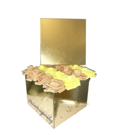 0AE240DC-7751-480B-A582-B06D14E08511-removebg-preview