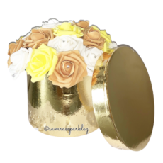 55F86392-A34C-42C6-946D-0A43BEFDE36B-removebg-preview (2)