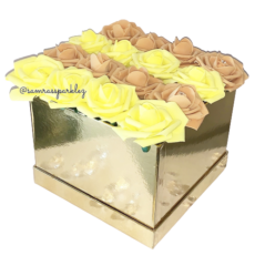 669720C2-504F-4DDE-9B88-F19F4BE7B424-removebg-preview