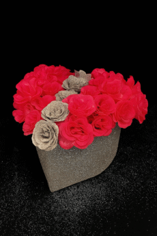 0B36396E-7437-4E9D-B6CF-08200A4AAA5A