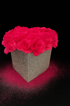 7EB7D94F-3184-489D-BA46-247EBB6E91CC