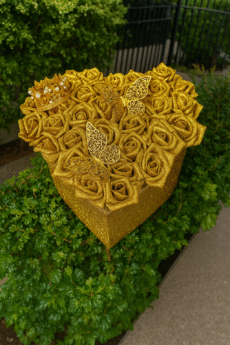 A3A3ABB1-4CCA-4656-BC38-4BA2D5937329