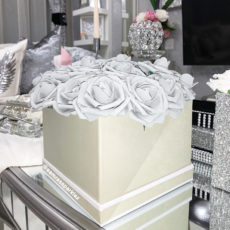 27F39313-E683-499B-B511-ACEFD19D9CC4