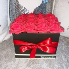 64DEE964-B1D2-4952-A96D-E06727A70F2D