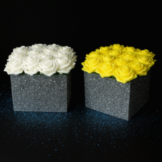 3AFB2D59-26B9-41DA-9485-481A309D6B2B