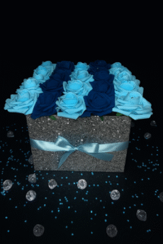 7E2F11D4-7E5C-4C36-9D05-6BC59BF98F39